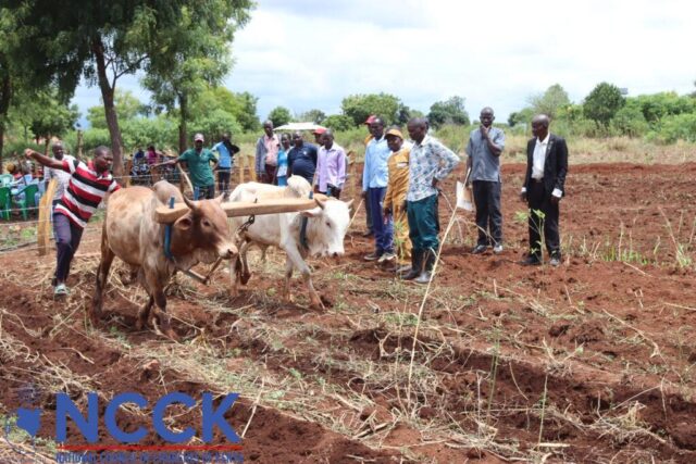 CA Service Providers Training (4)