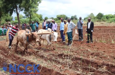 CA Service Providers Training (4)