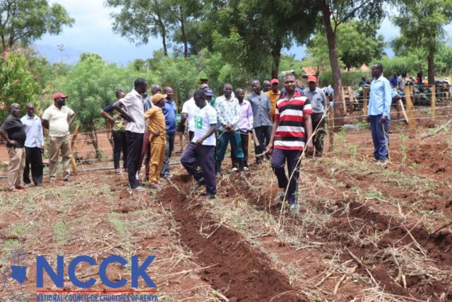 CA Service Providers Training (5)