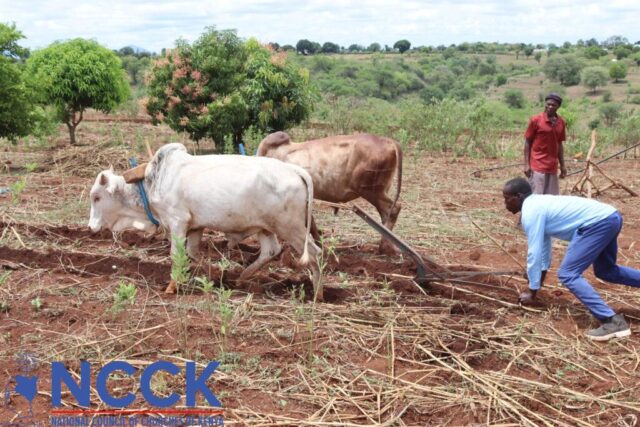 CA Service Providers Training (6)