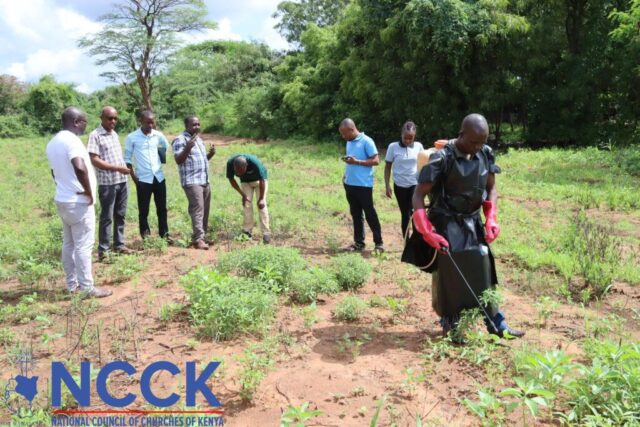 IPM Training for CA Staff (10)