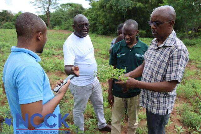 IPM Training for CA Staff (11)