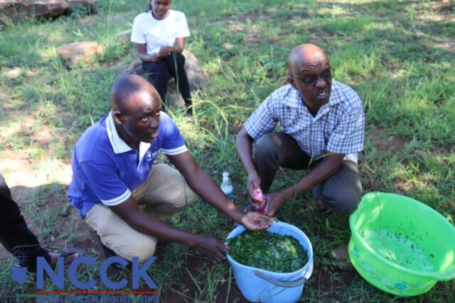 IPM Training for CA Staff (8)